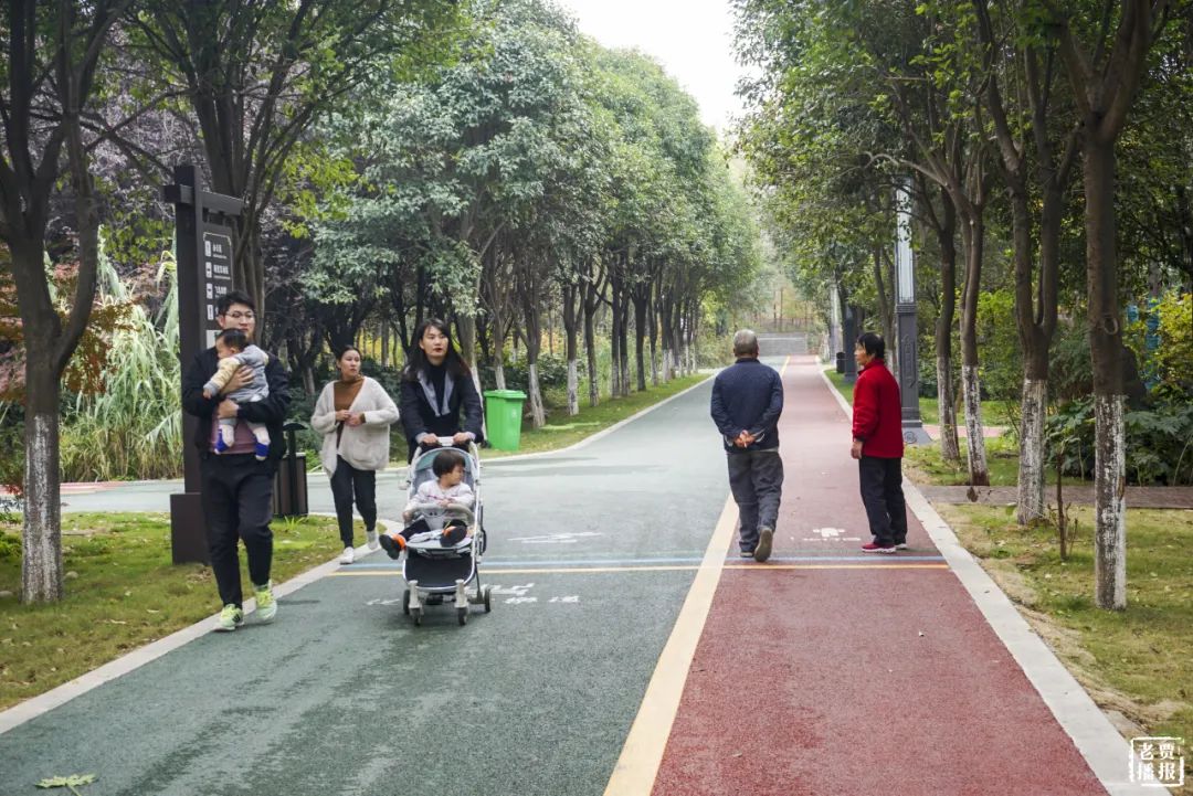 洛阳一大型网红公园免费开放,洛阳湿地公园网红打卡地