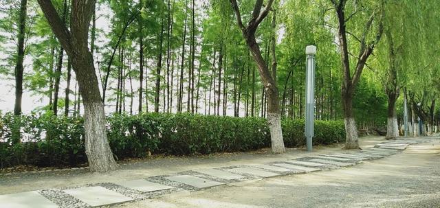 苏州婚纱城和婚纱一条街地址,苏州婚纱摄影取景圣地