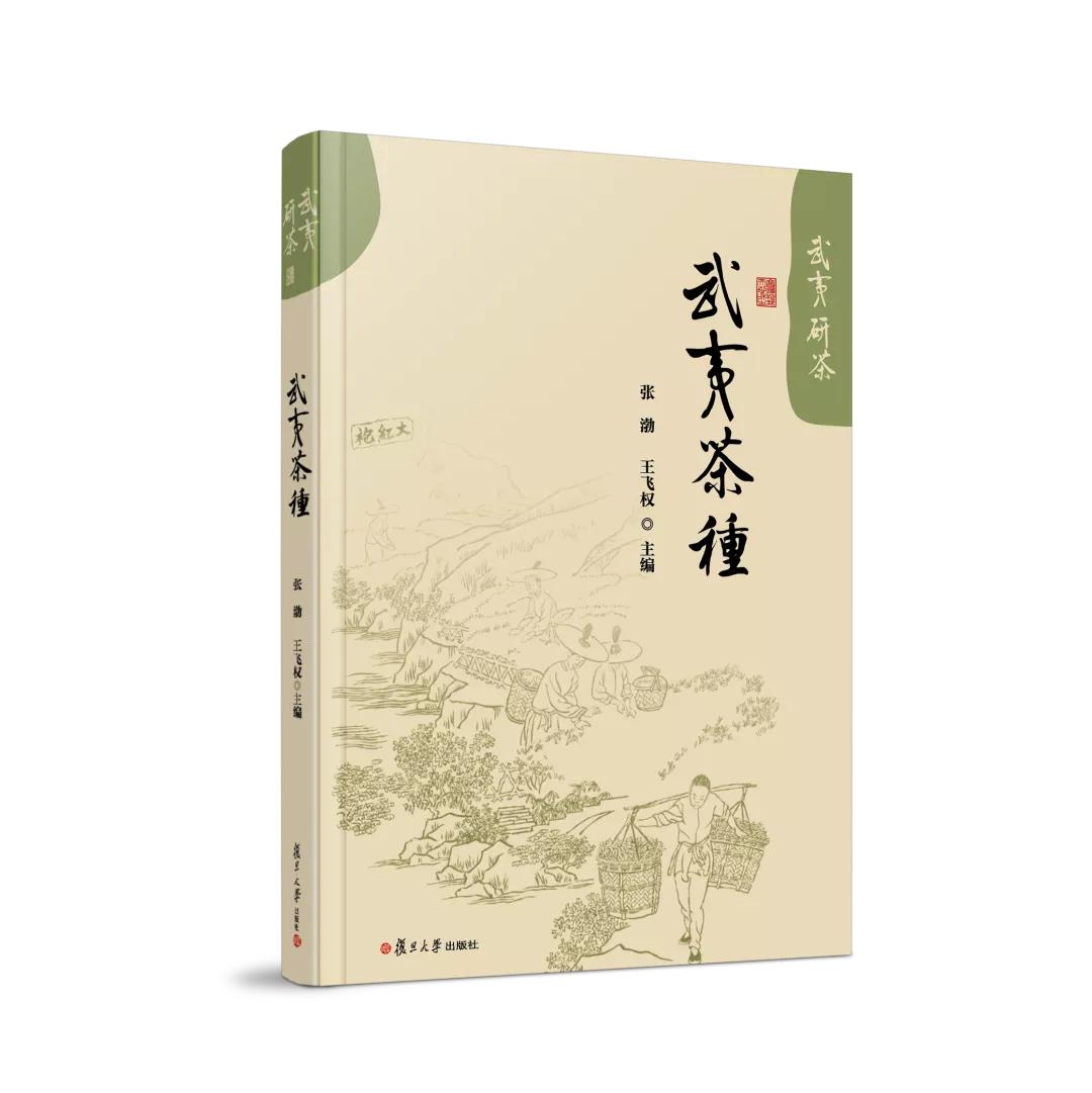 碧水丹山武夷岩茶,武夷山研茶之旅