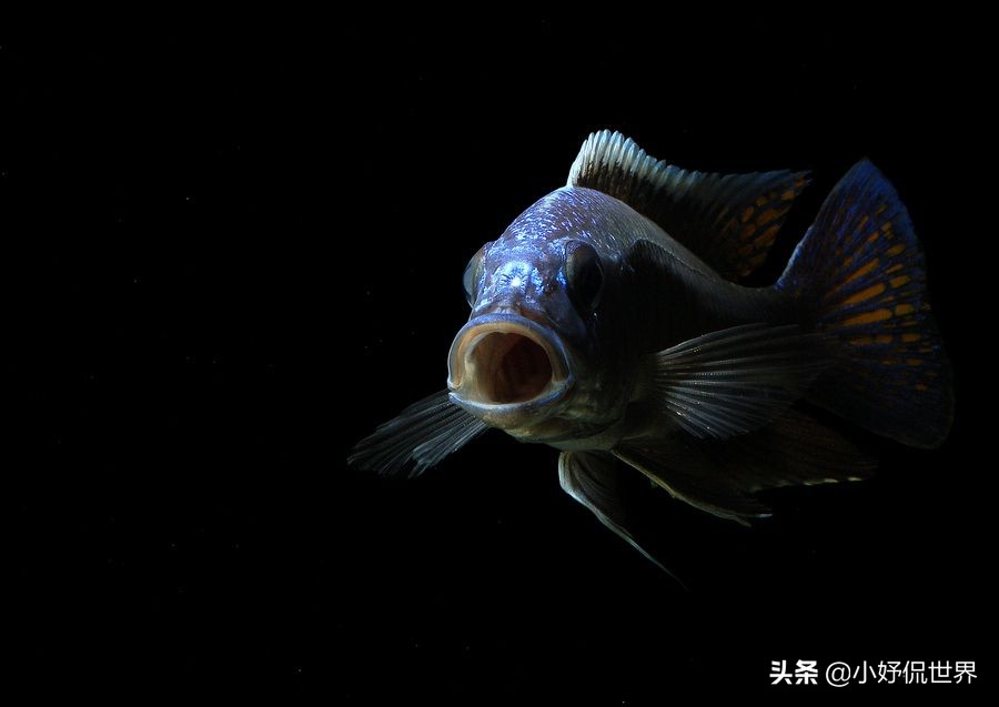 那些比书本有趣的冷知识,课本冷知识