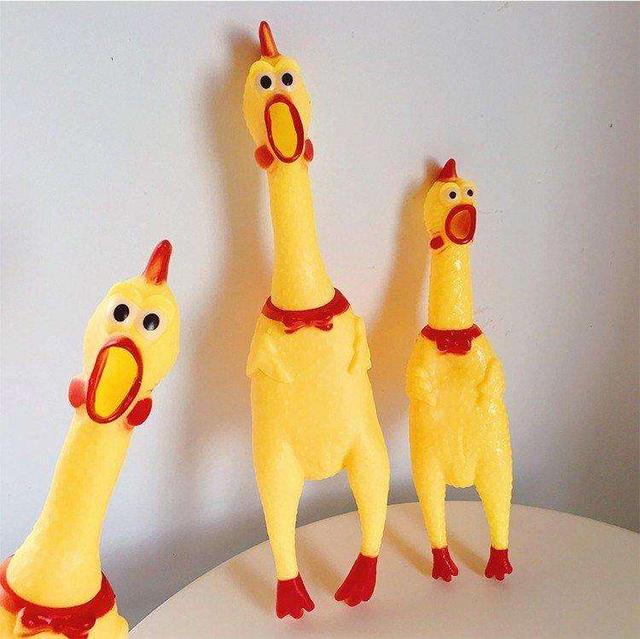 养宠物必备的10件东西,怎么养宠物最省钱的方法