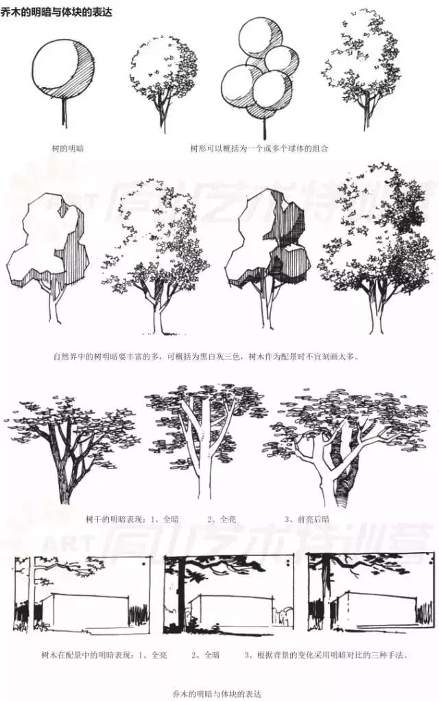 画画入门教程动漫人物0基础手绘,手绘基础入门教程手绘图片