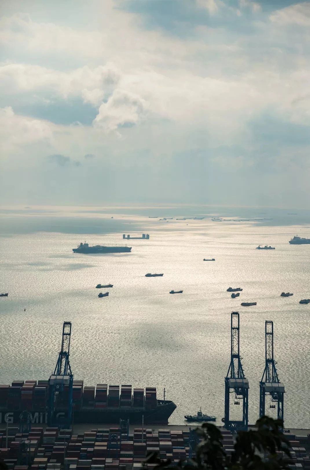 2021深圳免费适合遛娃玩地方排名,深圳免费游玩景点推荐