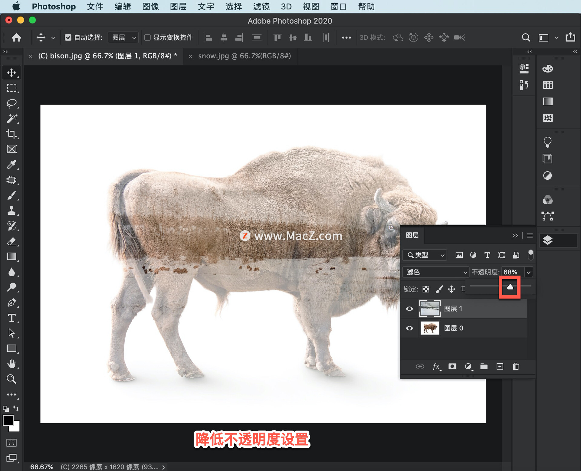 ps中怎么创建选区,ps教程百张相片