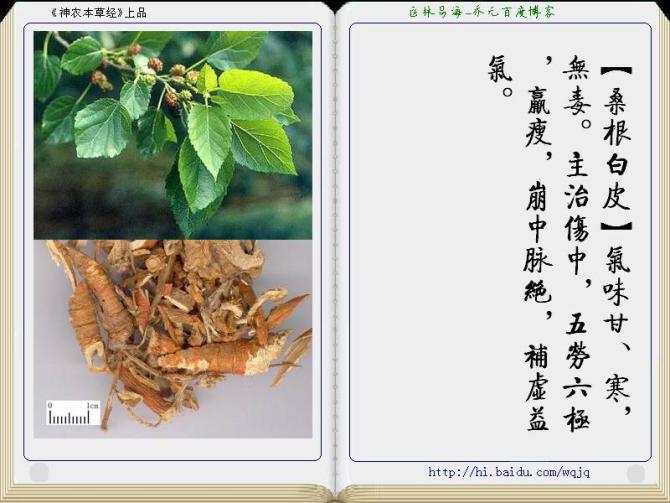 本草纲目中药讲解视频,本草纲目中药图谱及药理讲解