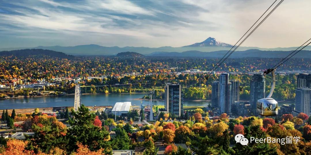 缇庡浗椤跺皷澶у涓轰粈涔堥偅涔堝,缇庡浗鍗氬＋鍚噾閲忔渶楂樼殑瀛︽牎