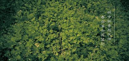 春日小野菜*戏调**指南