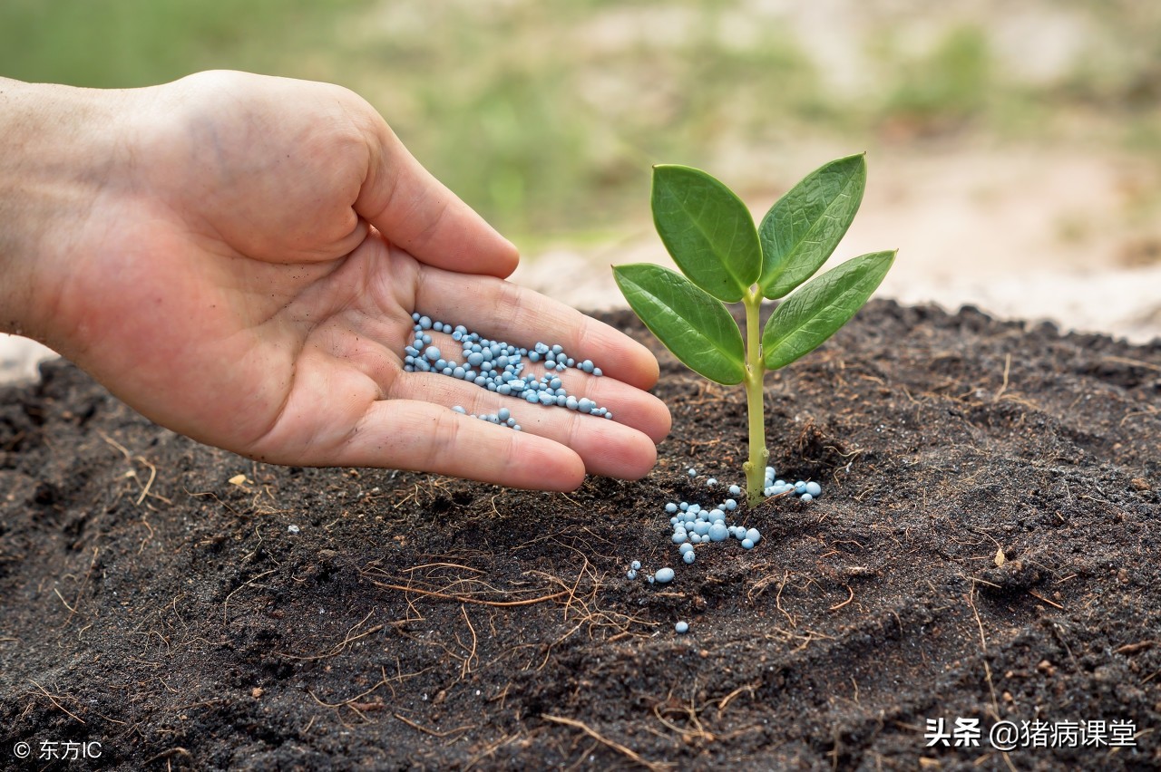 实现粪污变废为宝打造绿色畜牧业,畜禽粪污变废为宝广西