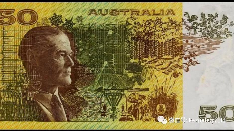 杀死兔子的方法,杀死兔子有什么后果