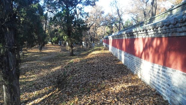 孔林是最大的氏族墓地吗,孔林各个时代的墓葬