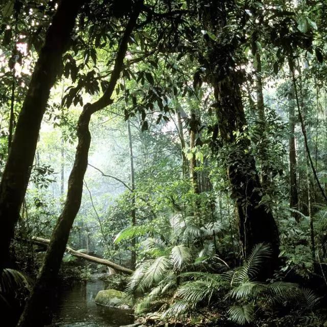 长相像外国人的汉族人,长相酷似中国人的印第安人
