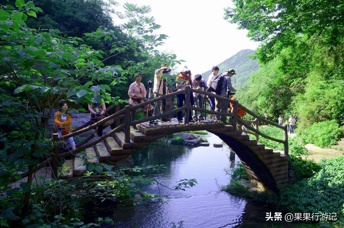 河南移民大省,历史上的河南移民