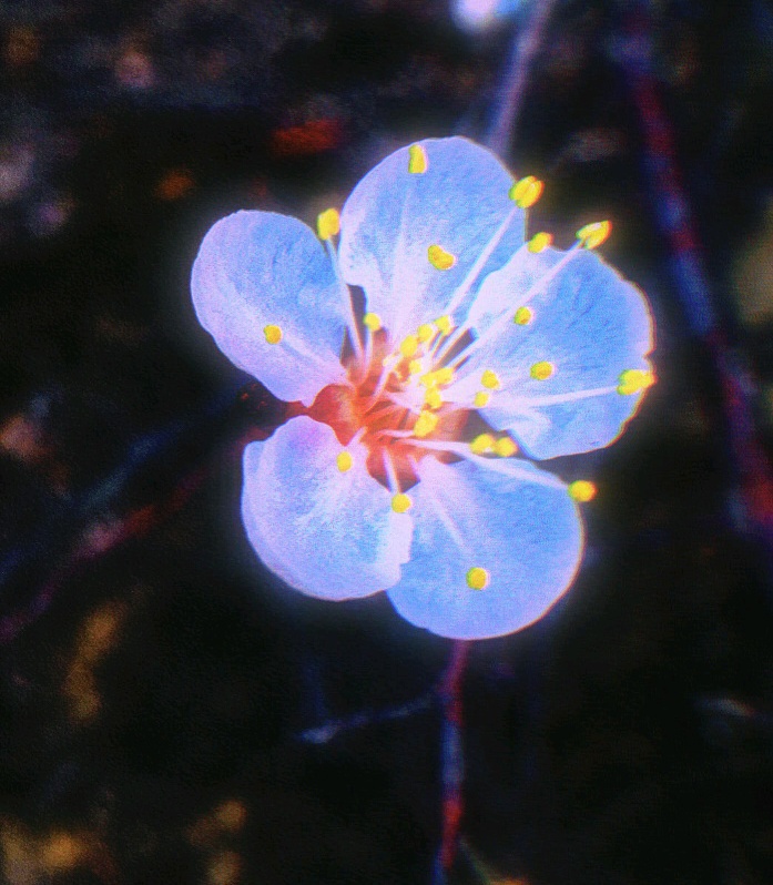 天生反骨喜欢跟人反着来,喜欢整人有反骨的星座