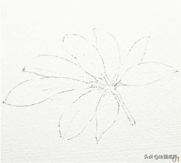 怎么才能画好水彩画,如何画好水彩只需掌握这5点