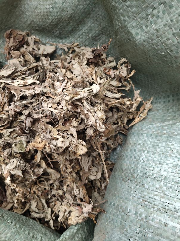 蚂蚁金服是真实的吗,蚂蚁金服是个啥