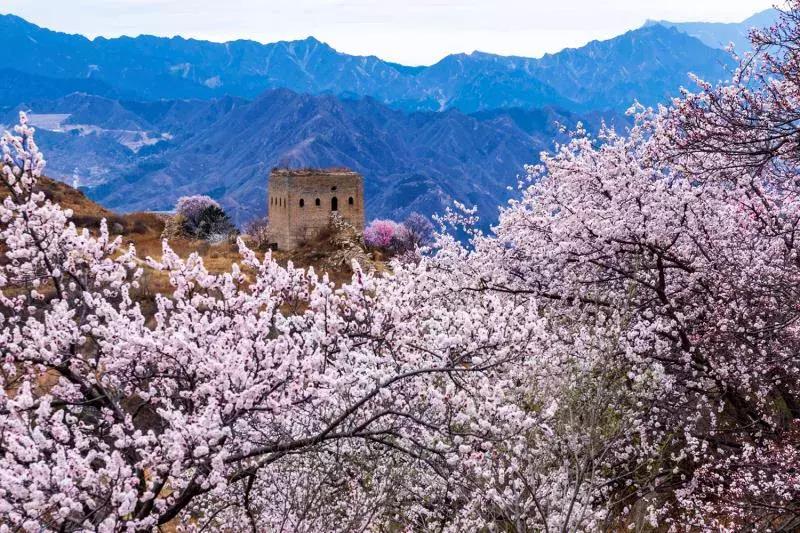 万里长城位于哪个地方,万里长城在哪省哪市哪县