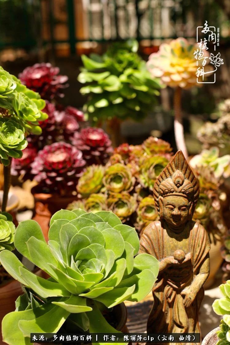 佛系看风景的地方,佛系风景空境视频