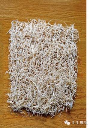 微景观材料的作用,微景观生态材料