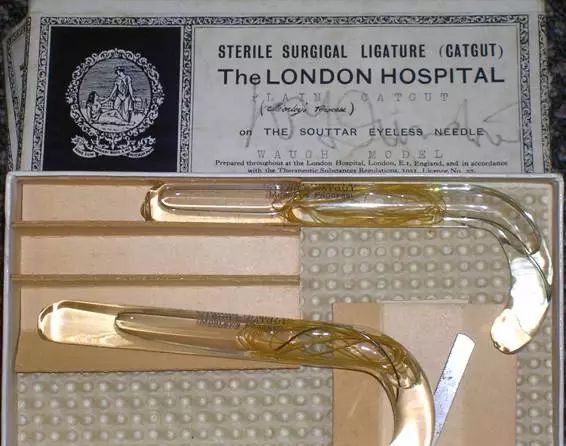 蚂蚁和蚂蚁之间是怎样沟通的呢,蚂蚁和米混在一起怎么拿出来