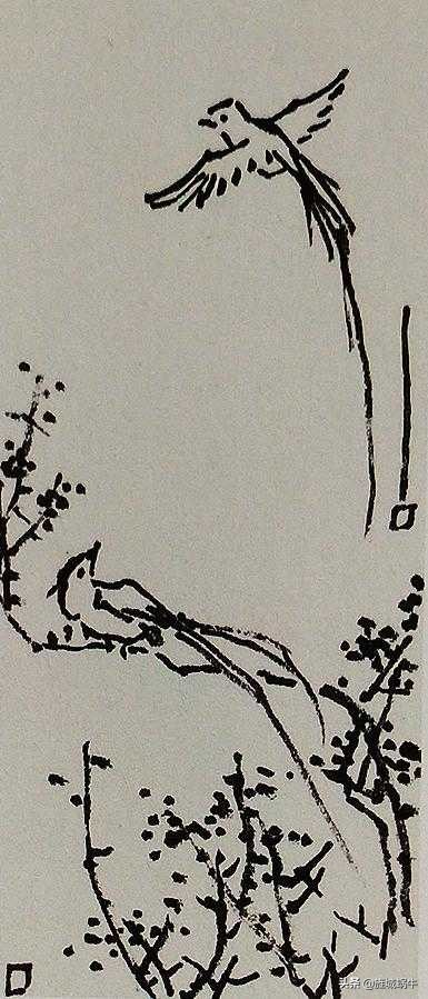 国画飞着绶带鸟的画法步骤,国画绶带鸟的画法