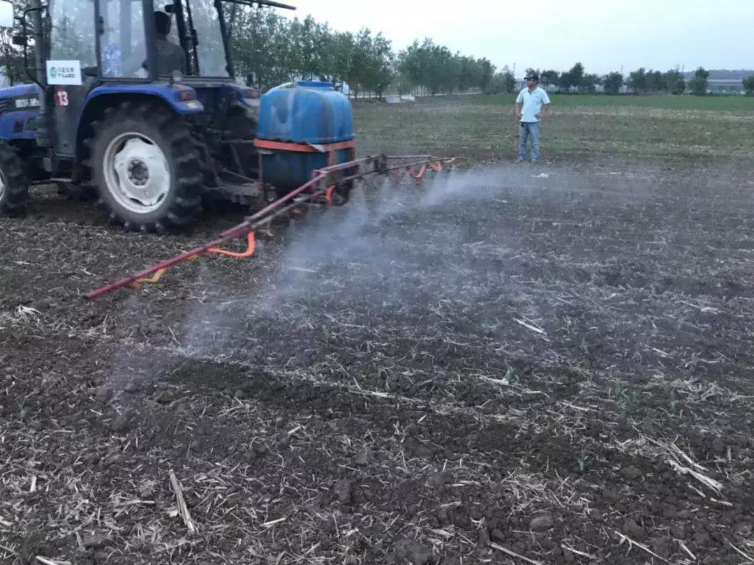 怎样解除玉米除草剂对下茬的药害,玉米苗后除草剂药害解救方法