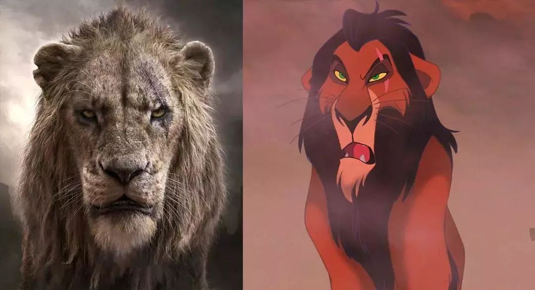 狮子王真兽版,狮子王真实版合集