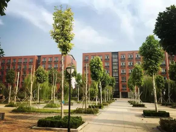 在济南,有种青春叫省实验!