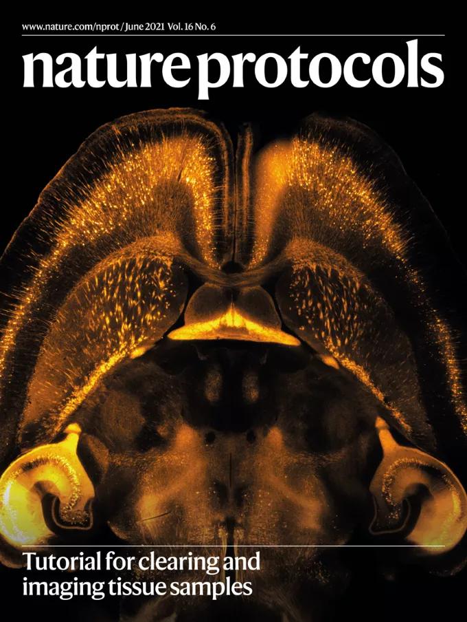 自然期刊封面,最新自然期刊