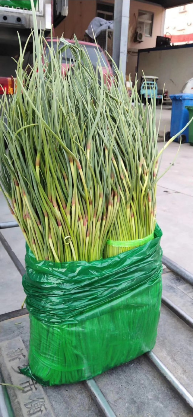 蒜薹价格最新行情分析,2022年3月6日大蒜行情