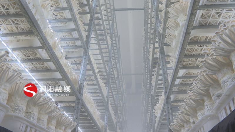 强化责任担当抓实三农工作,抓实基层党建凝聚发展合力