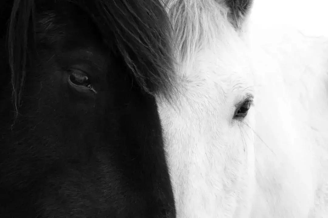 影博会,影展展会