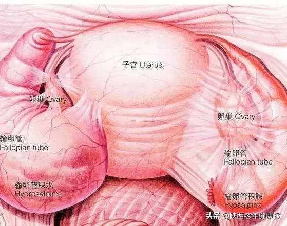 难以受孕,难以怀孕