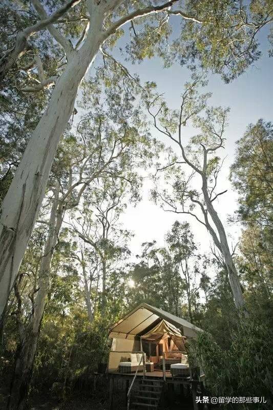 澳大利亚有哪些旅游胜地,澳大利亚有什么好玩的免费景点