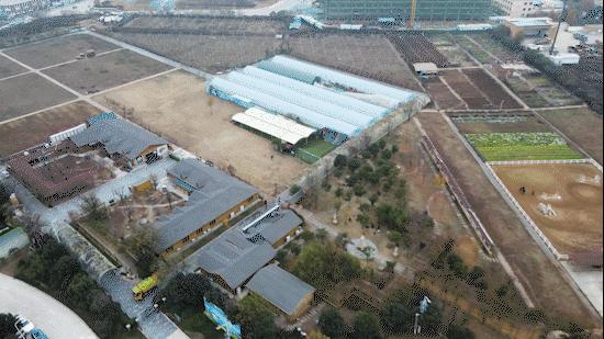 郑州国际旅游区,郑州国际旅游度假区官网