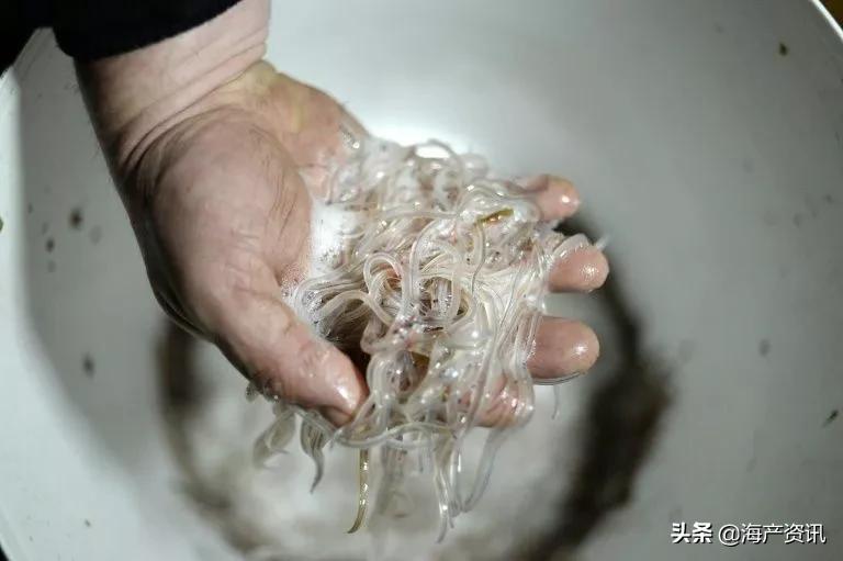 水产原料有哪些甲壳类,甲壳类水产品有哪些