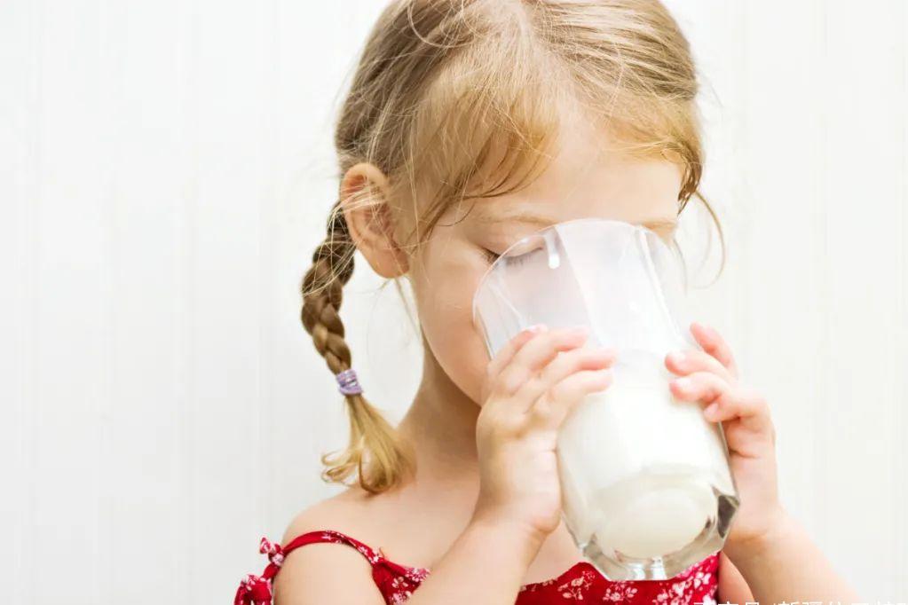 羊奶驼奶和牛奶哪个适合老年人,老年人喝驼奶的禁忌