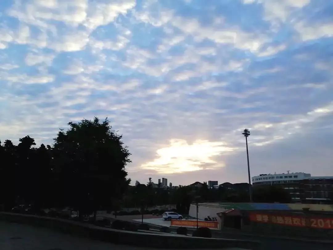 大连海事大学辽宁省大学排名,孔峰辽宁省教育厅大连海事大学