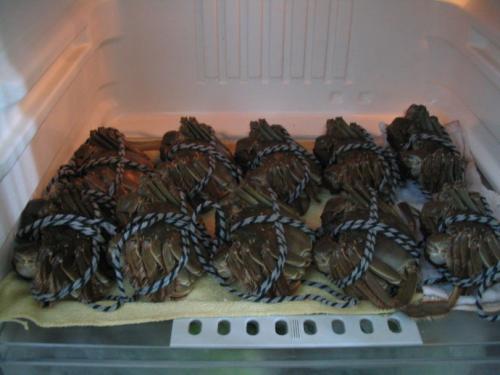 吃不完的螃蟹能放冰箱冷藏吗,吃不完的螃蟹能不能放冰箱冷藏