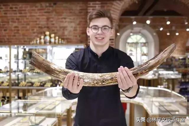 1500左右的猛犸象牙是真的么 (猛犸象牙是否适合收藏)