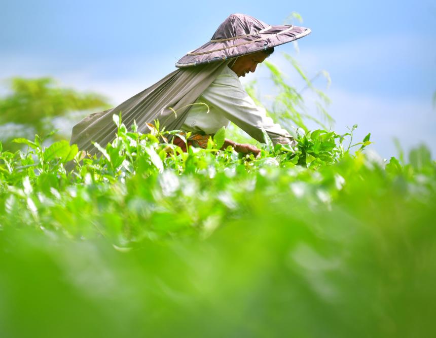 农民的生活是什么样子的,中国农民未来是什么样