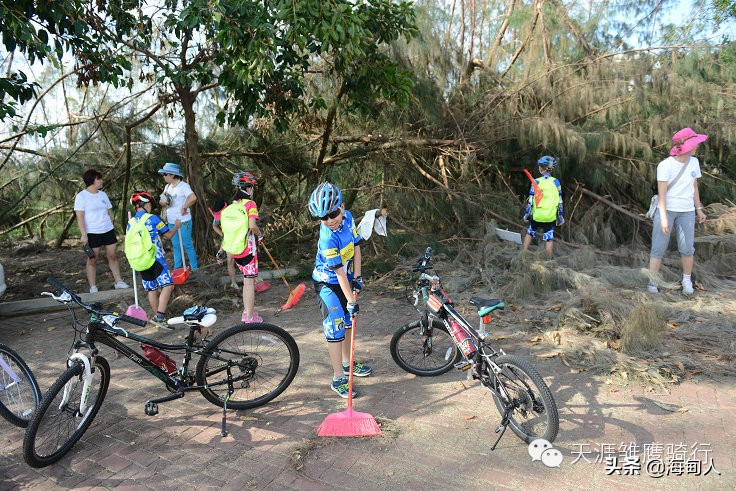 雏鹰之歌儿童版,雏鹰行动之歌