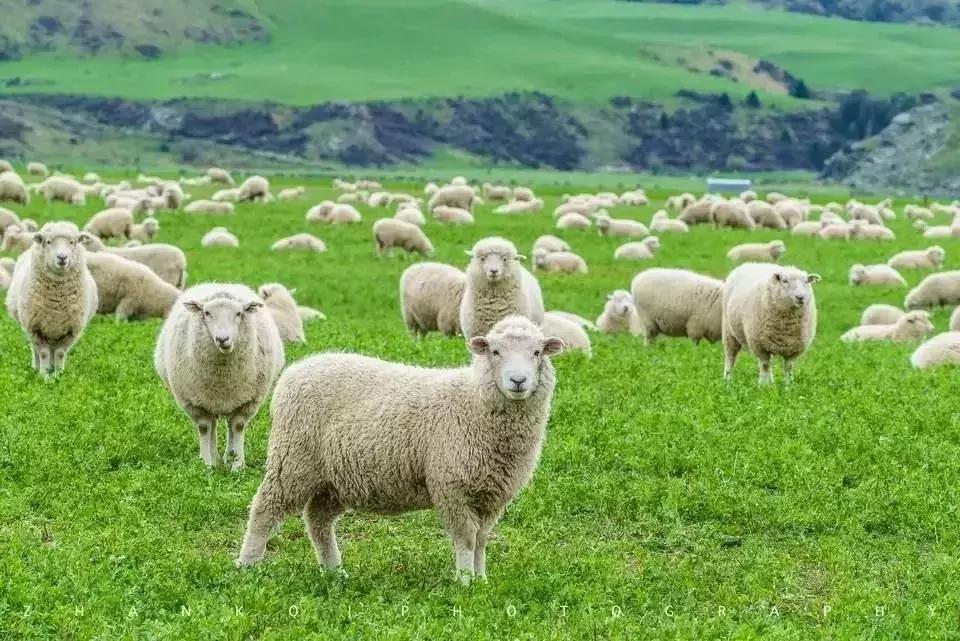 护照签证过期了补办要多少钱,护照签证用完了怎么办