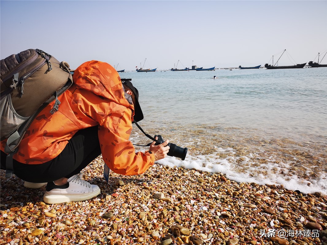 探秘海参的捕捞过程,野生海参采捕视频大全