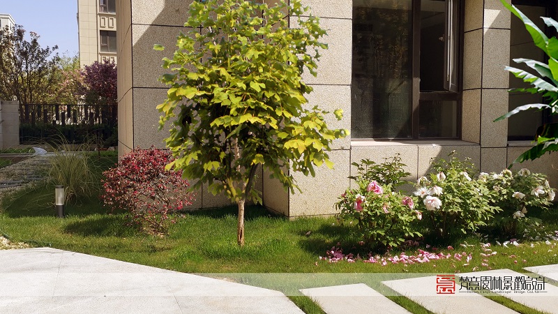 花园设计实景图别墅,花园设计实景案例