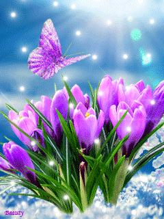 几十张绝美的图,绝美花的倒影100张图片