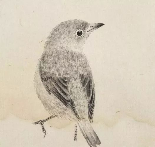 最简单画鸟的画法,各种鸟的画法简单又漂亮