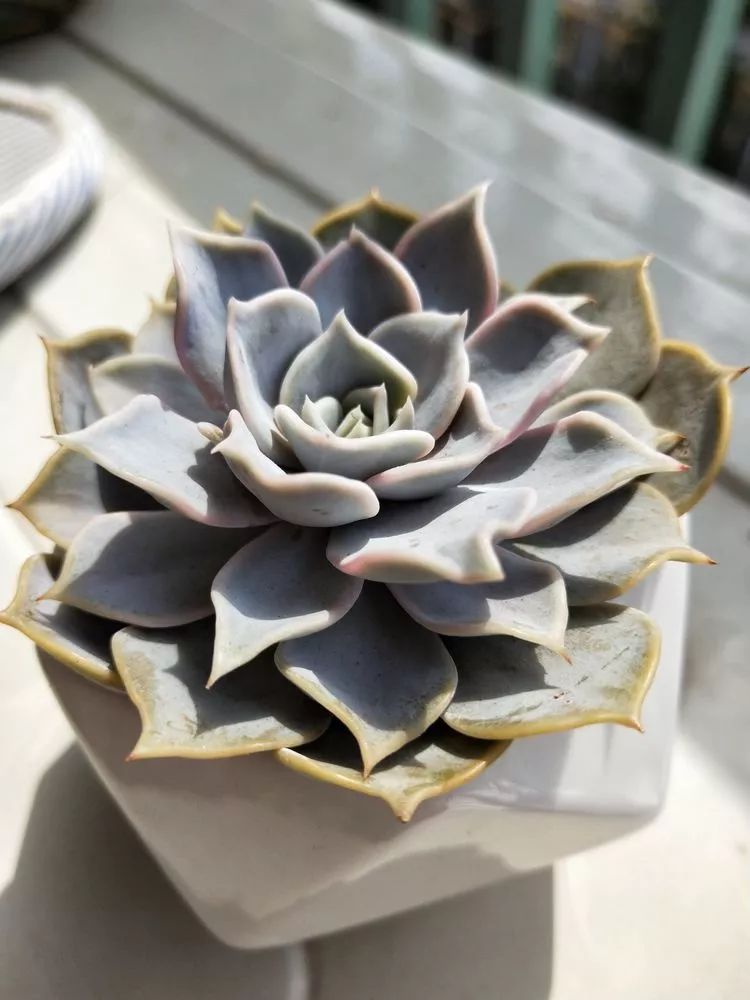 大四老学姐的寝室生活,养肉路上的真实感受