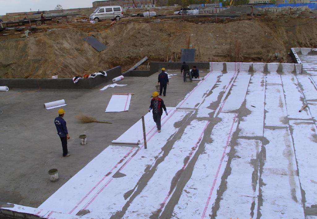 墙体严重发霉怎么装修,墙体发霉怎么整