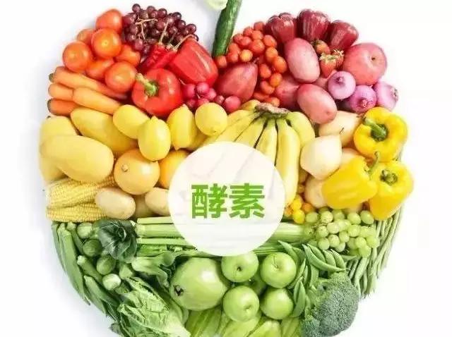 关于酵素的最新知识,酵素小科普