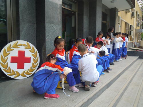 北京西城最好的小学有哪些,北京西城最好的小学排名前十